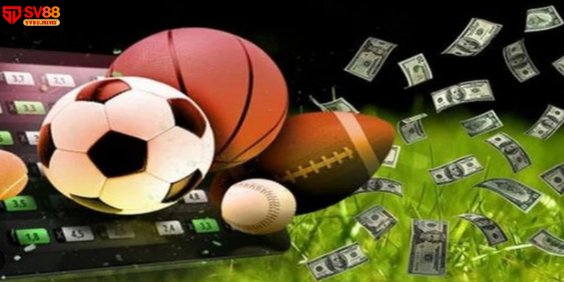 Sảnh Bti Sports chất lượng, thú vị