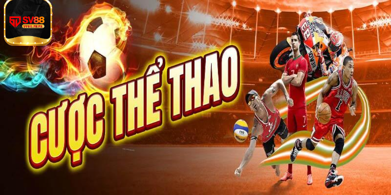 Thông tin tổng quan về thể thao Sv88