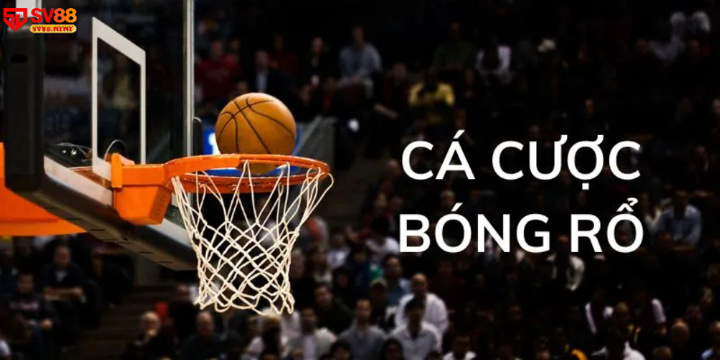 Giới thiệu về cá cược bóng rổ