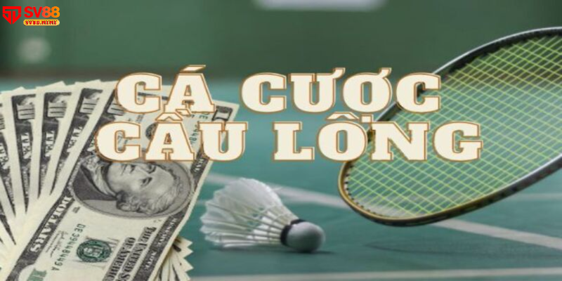 Giới thiệu cơ bản về cá cược cầu lông