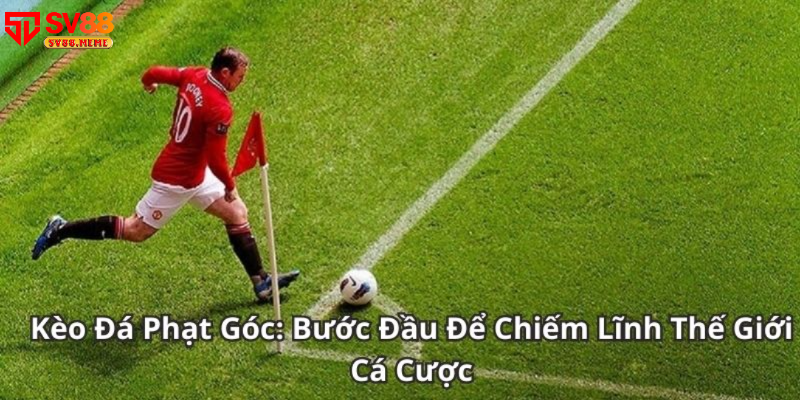 Đọc kèo góc chuẩn gia tăng tỷ lệ thắng