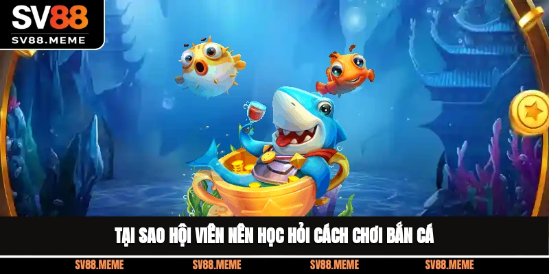 Tại sao hội viên nên học hỏi cách chơi bắn cá? Tại sao hội viên nên học hỏi cách chơi bắn cá?